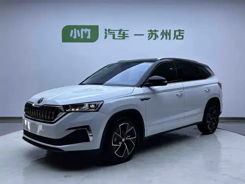 Skoda Kamiq, 2024