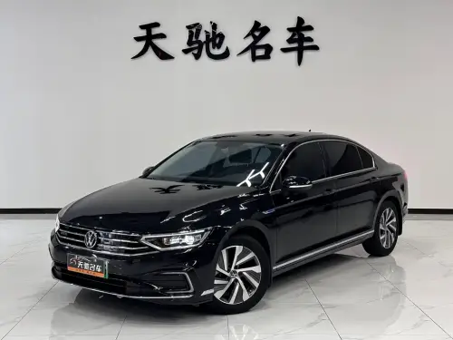 Volkswagen Magotan, 2024