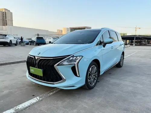 Dongfeng Youth, 2023