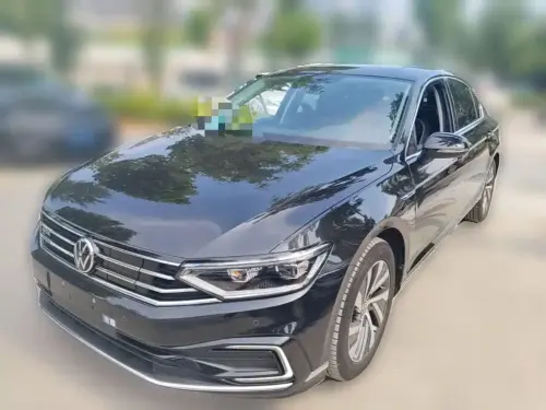 Volkswagen Magotan, 2024