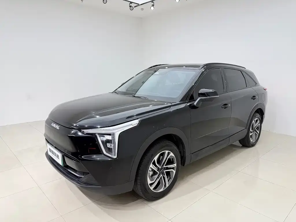 Haval Xiaolong, 2024