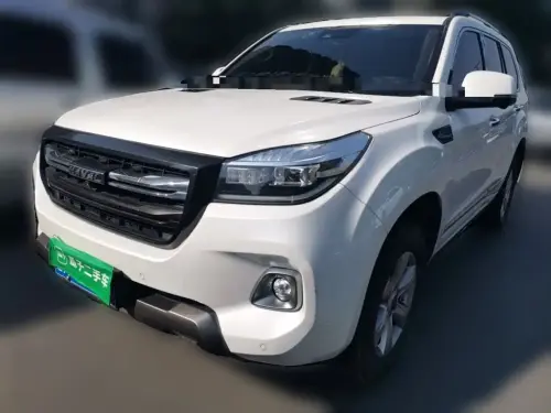 Haval H9, 2021