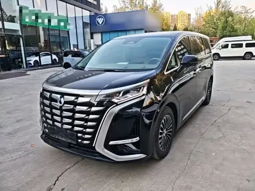 Denza D9, 2023