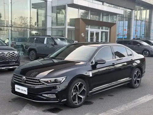 Volkswagen Magotan, 2024