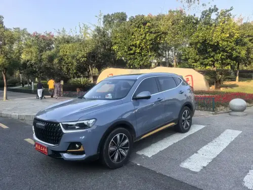 Haval H6, 2024