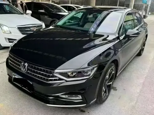 Volkswagen Magotan, 2024