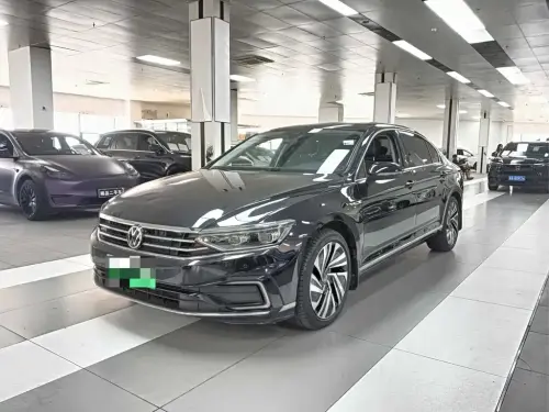 Volkswagen Magotan, 2021
