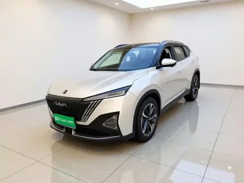 Dongfeng Haohan, 2024