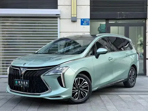 Dongfeng Youth, 2022