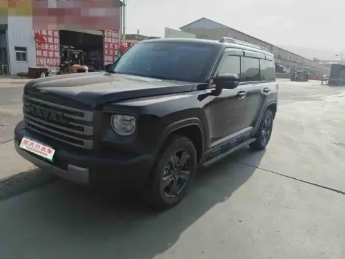 Haval Menglong, 2024