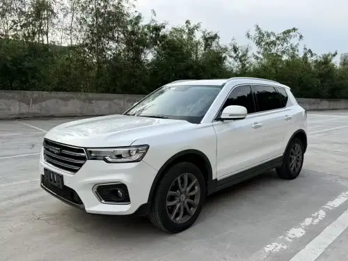 Haval H7, 2020