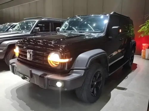 Tank 300, 2022