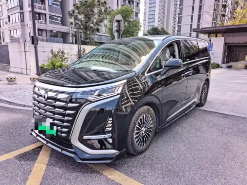 Denza D9, 2024