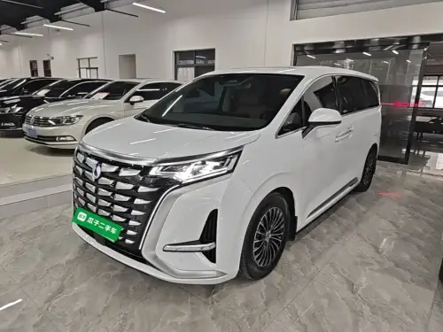 Denza D9, 2023