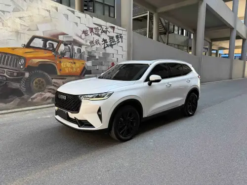 Haval H6, 2022