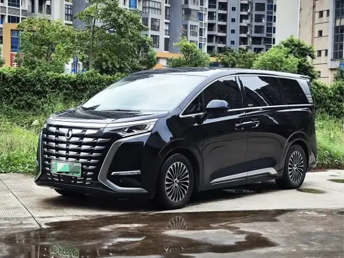 Denza D9, 2024