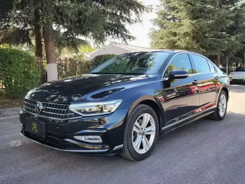 Volkswagen Magotan, 2024