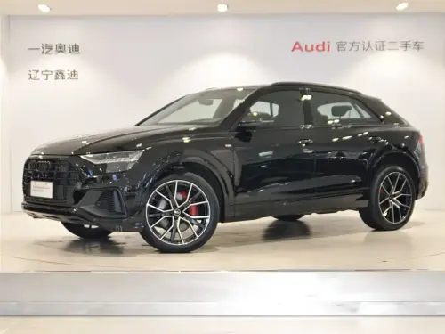 Audi Q8, 2024