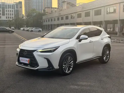 Lexus NX, 2022