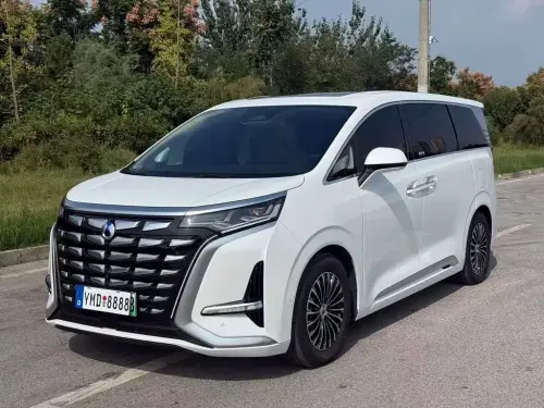 Denza D9, 2024