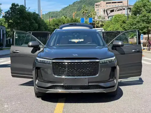 Li Auto ONE, 2021