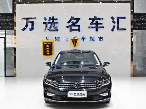 Volkswagen Magotan, 2024