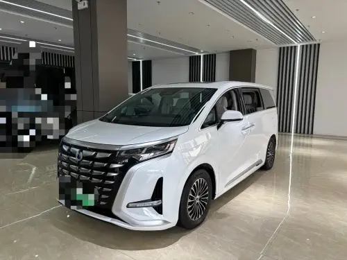 Denza D9, 2024