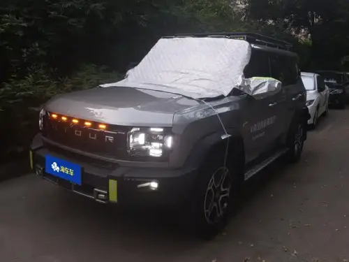 Jetour Traveler, 2025