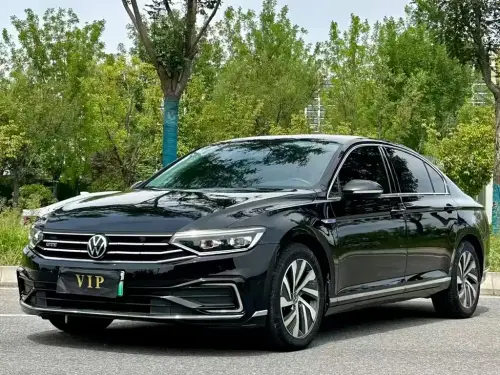 Volkswagen Magotan, 2024