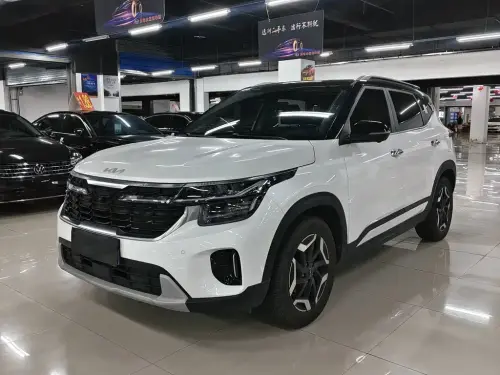 Kia Seltos, 2024