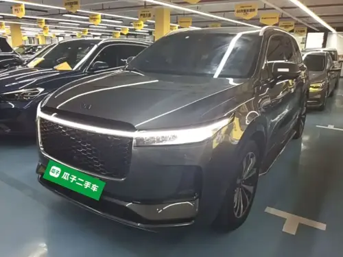 Li Auto ONE, 2021