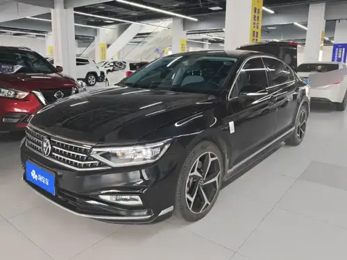Volkswagen Magotan, 2024