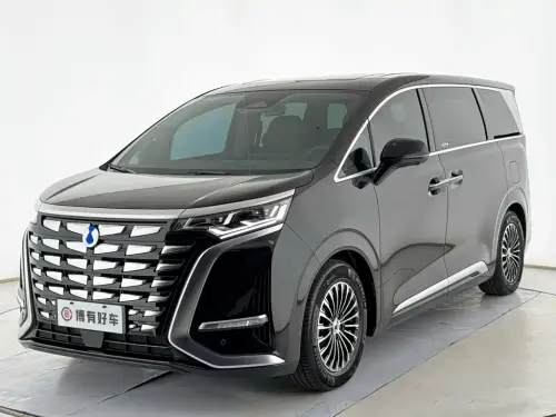 Denza D9, 2023