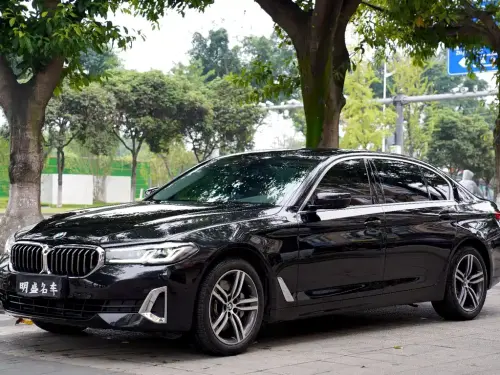 BMW 5-Series, 2020