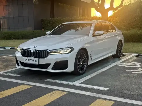 BMW 5-Series, 2021