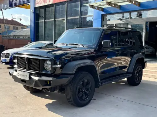 Tank 300, 2021