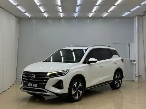 GAC GS4, 2022