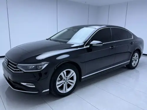 Volkswagen Magotan, 2024