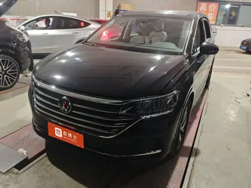 Volkswagen Viloran, 2024