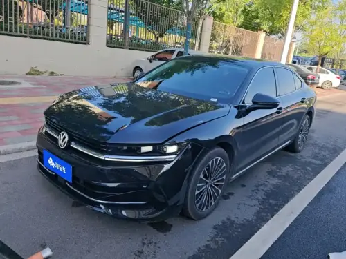 Volkswagen Magotan, 2024
