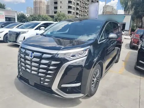 Denza D9, 2023
