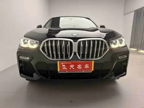BMW X6, 2021