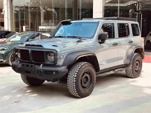 Tank 300, 2024