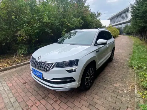 Skoda Karoq, 2024