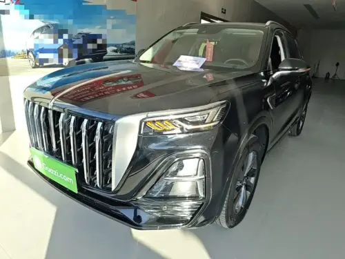 Hongqi HS5, 2024