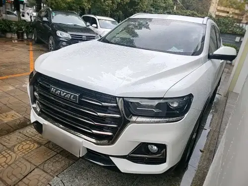 Haval H6, 2021