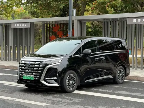 Denza D9, 2024
