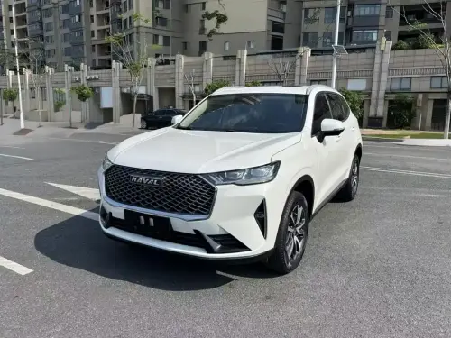 Haval H6, 2021