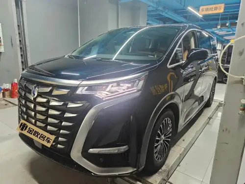 Denza D9, 2024