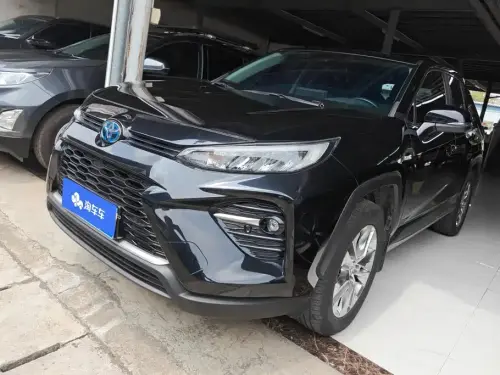 Toyota Wildlander, 2020